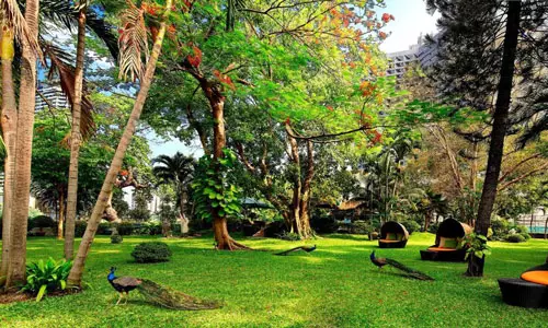 هتل رویال ارکید شرایتون ریورساید بانکوک هتل رویال ارکید شرایتون ریورساید بانکوک